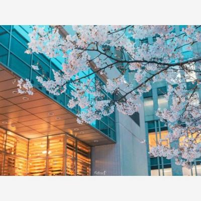 欢乐斗牛腾讯手机app下载截图